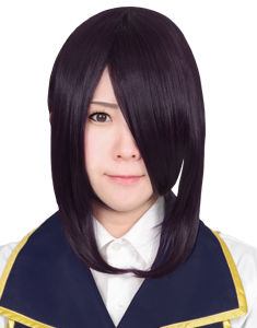 Ponytail wig