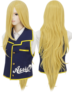 Styleable Wig Long
