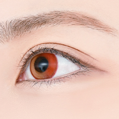 ★Attention★ New color contact lenses for assist! “Lishade 1Day” released!!
