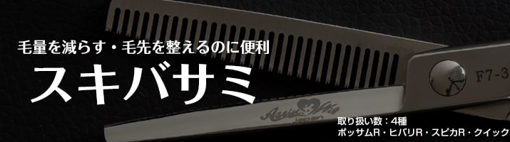ski clip 08