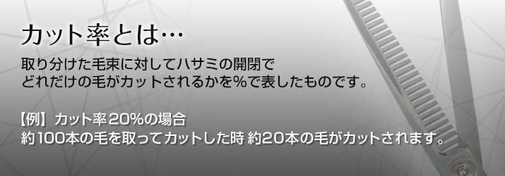lead sentence 09