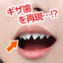 ★Personal fangs★ "Fung" is here!!