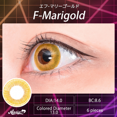 Favill 1Day F-Marigold