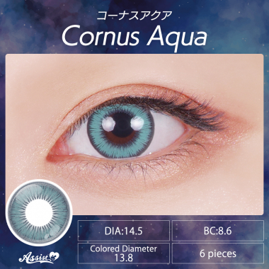 Assist ChouChou Shutella 1Day　Cornus Aqua
