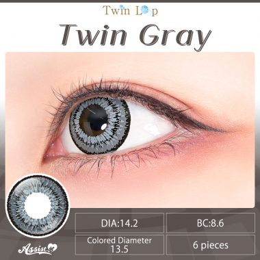 Twin Loop 1Day Neo　Twin Gray