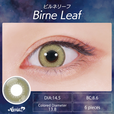 Assist ChouChou Shutella 1 Day　Birne Leaf