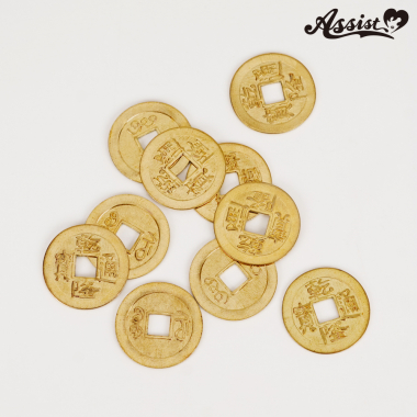 Cosplay Prop Coins (10 Pieces)