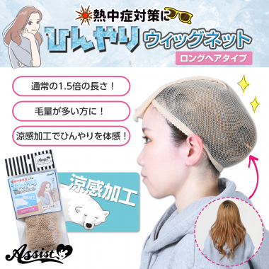 Cool Wig Net Long Hair Type