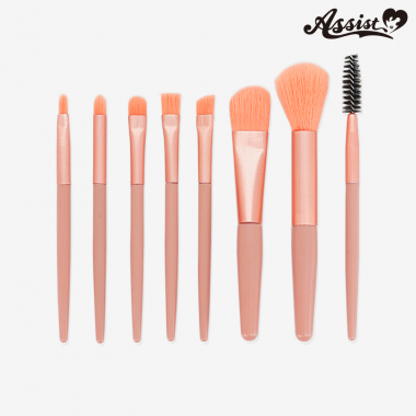 Makeup Brush Set (8 Pieces)