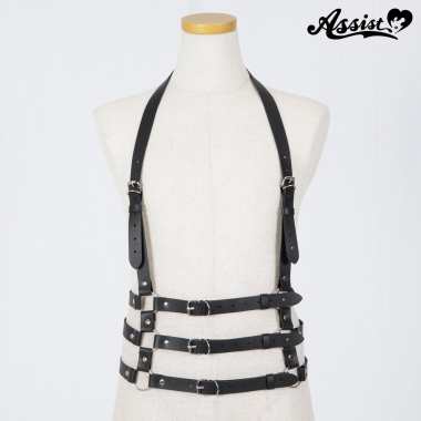 Harness type 1