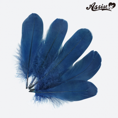 Colored feather parts 5 pieces Navy blue