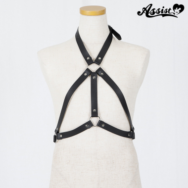 Harness type 2