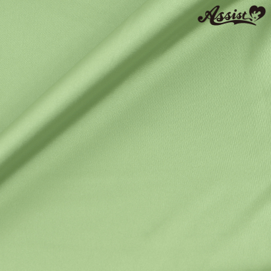 Assist Satin Fabric 125cm Wide X 50cm Green No.62