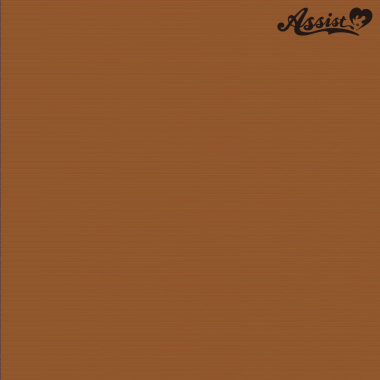 Slicked-back Short　Fox Brown NFB-119