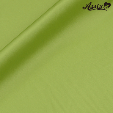 Assist Satin Fabric 125cm Wide X 50cm Green No.64