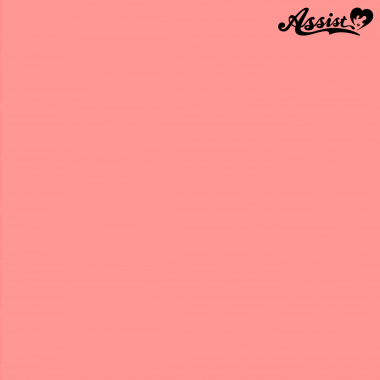 Stylish Layer　Cherry Blossom NCB-34