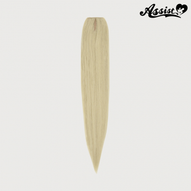 I Type Wefts 1 Piece Powder Gold NPG-123