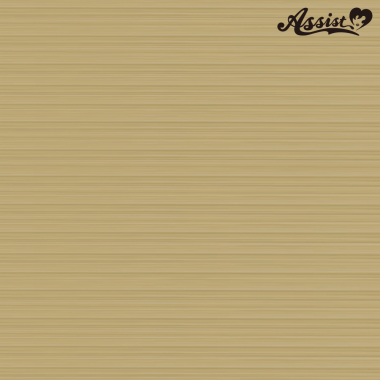 Stylish Layer　Milky Gold 369