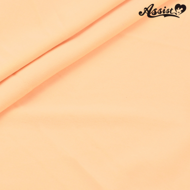 2way Leotard Fabric (non-glossy) 150cm Wide X 50cm　No.5