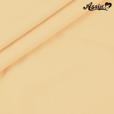 2way Leotard Fabric (non-glossy) 150cm Wide X 50cm　No.6