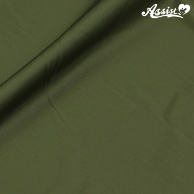 Assist Satin Fabric 125cm Wide X 50cm Green No.65