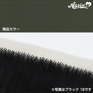 Lace Front Piece Magic Forest NMF-159