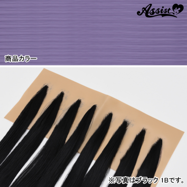 Lace Front Piece Pinpoint Type　Purple Ash NMDL-16