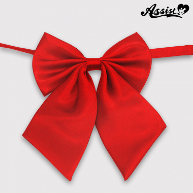 Uniform ribbon　Red
