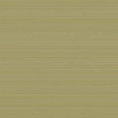 Regular Medium　Yellow Gold 26