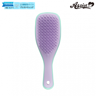 TANGLE TEEZER (Hair Care Brush) The Wet Detangler Mini wisteria leaf