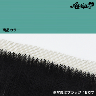 Lace Front Piece Chocolate Mint NCM-122