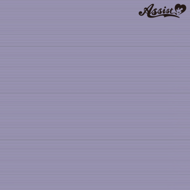 Stylish Layer Purple Silver NPS-144