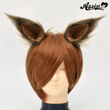 Animal Ears 2 Pieces Type 2　Brown