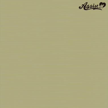 Stylish Layer　Powder Gold NPG-123