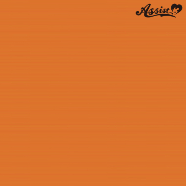 Stylish Layer Valencia Orange NVO-84