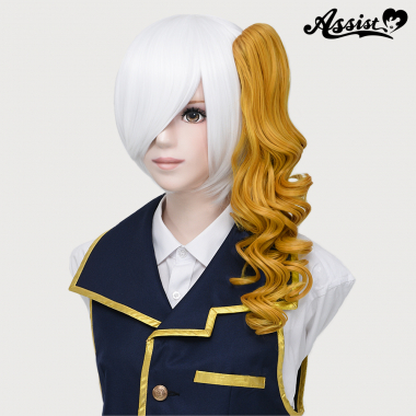 40 cm Clip-in Curly Wig Master Draw NML-36