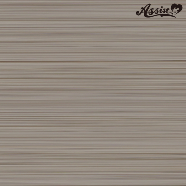 Front Lace Short Rev.　Tea Silver NTEA-213