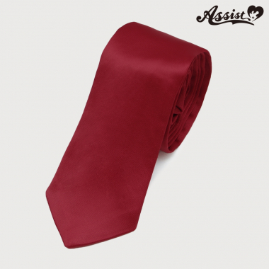 Matte Color Tie Deep Red