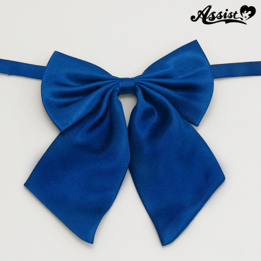 Uniform ribbon　Blue