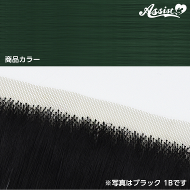Lace Front Piece Viridian NME-22