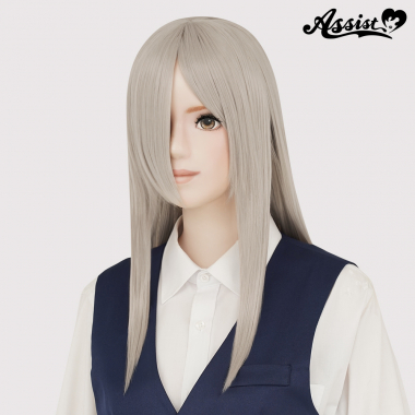 Regular Medium Gray 28