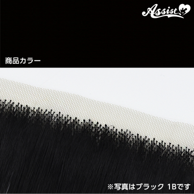 Lace Front Piece Black 1B