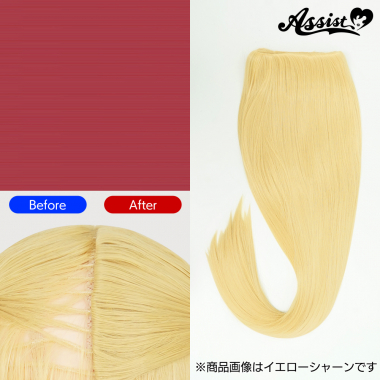 Hidden Cover Parts　Smoke Red NSG-82