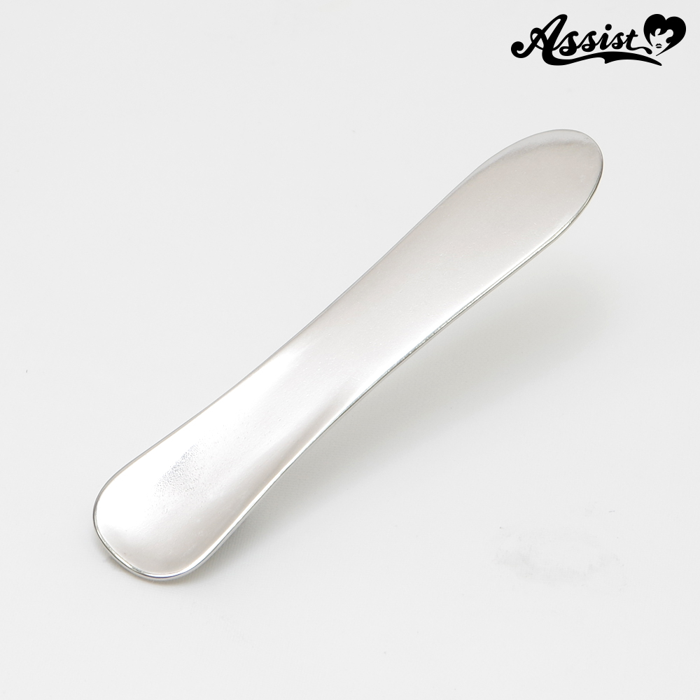 Stainless steel spatula with case