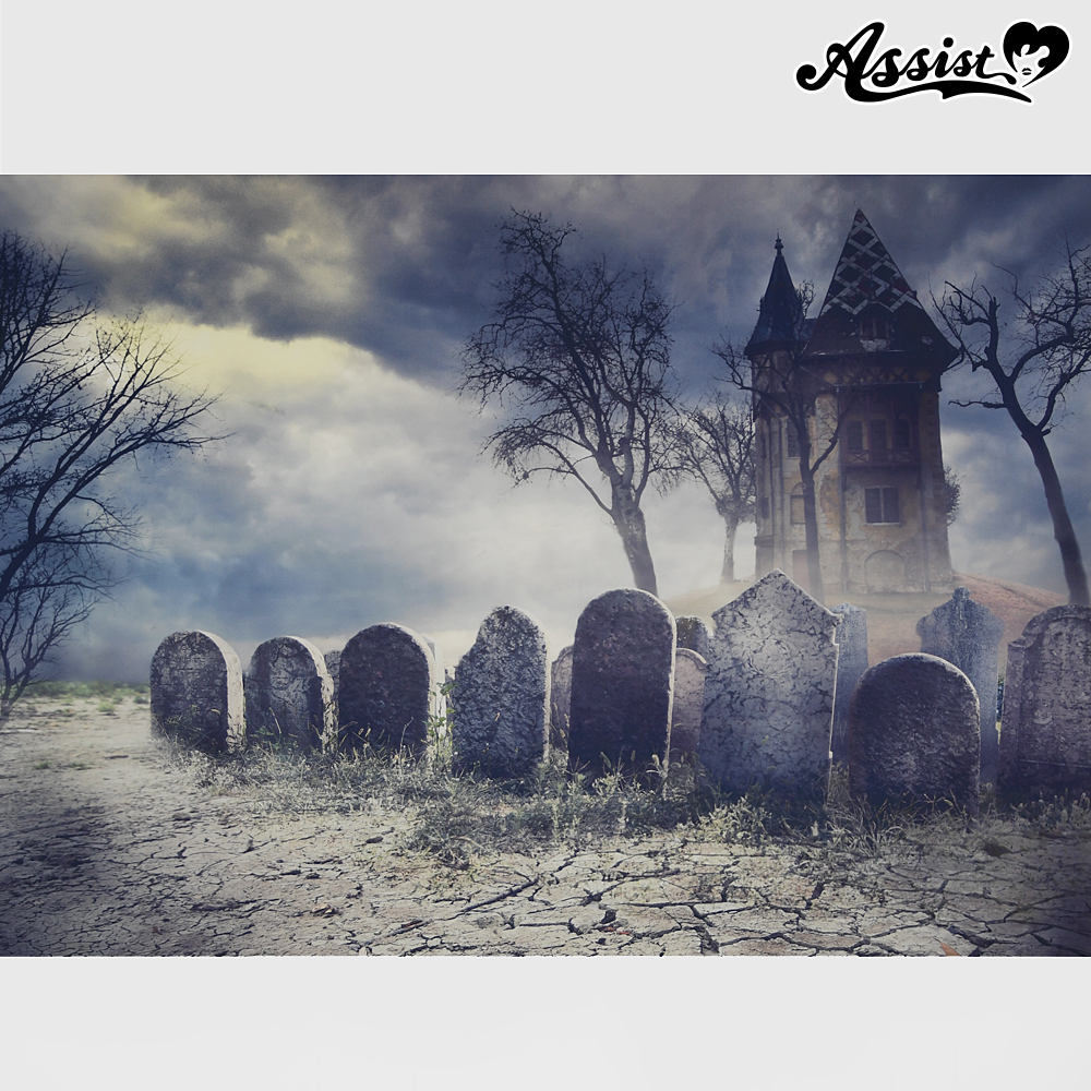 ★ Limited time sale ★ Background cloth Cemetery type 1
