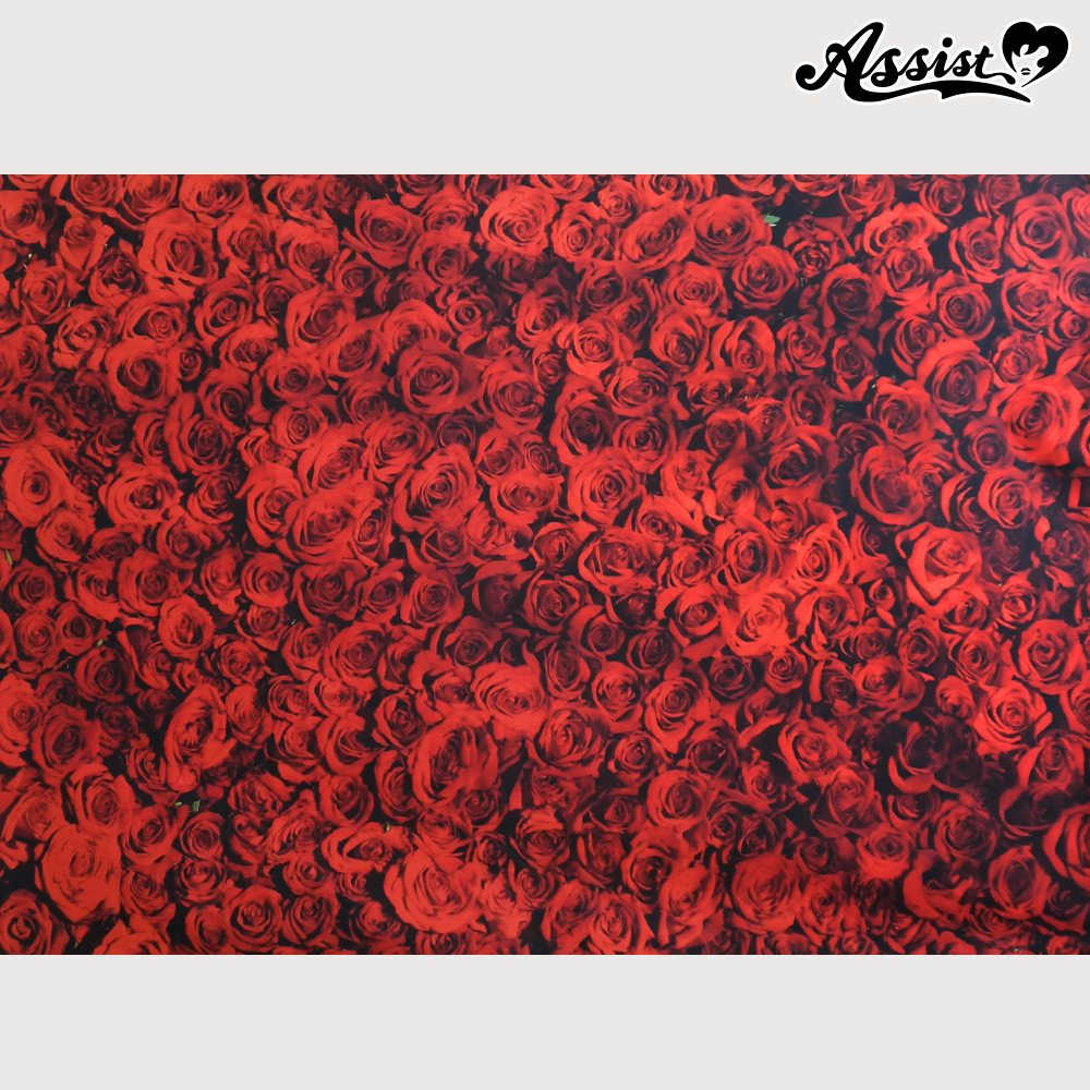 ★ Limited time sale ★ Background cloth (floor Ver.) H Rose