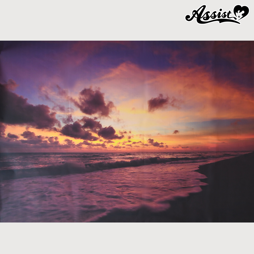 ★ Limited time sale ★ Background cloth 119 Sunset beach