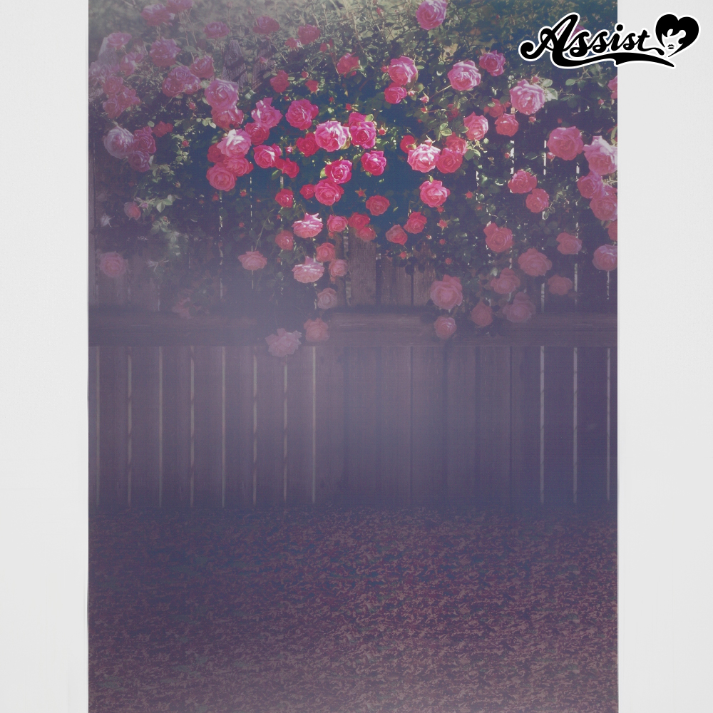 ★ Anniversary Sale ★ Background cloth rose garden type 2