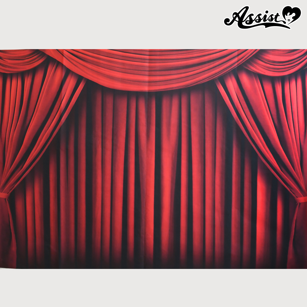 ★ Limited time sale ★ Background cloth 120 Stage curtain