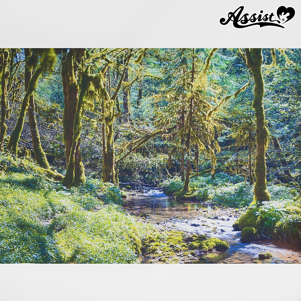 ★ Limited time sale ★ Background cloth mountain stream